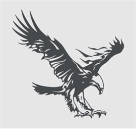 لوگو عقاب