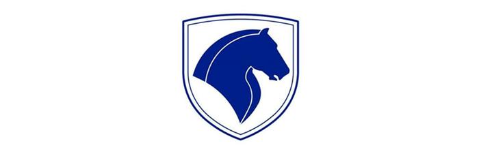 لوگو تصویری ایرانی