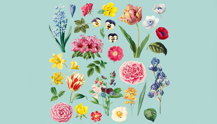 لوگوی گل فروشی