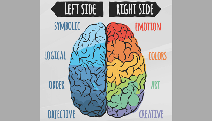 تاثیر رنگ در برندسازی